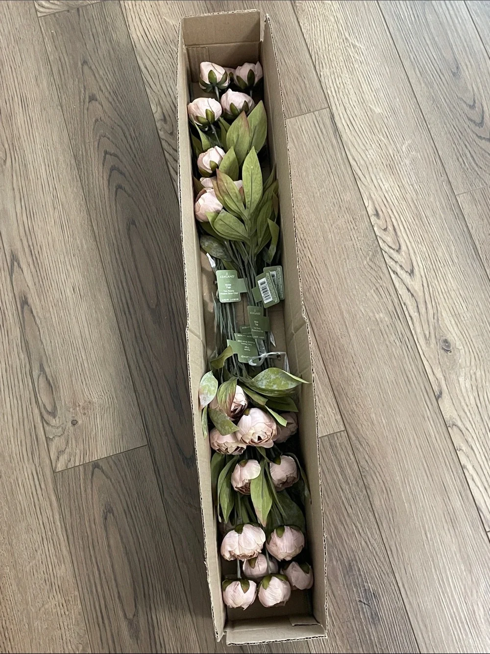 (8) Tan Peony Stems by Ashland‎ NEW